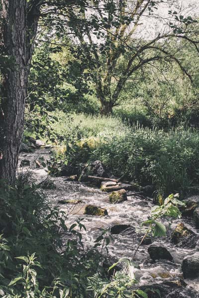 Fluss_munter